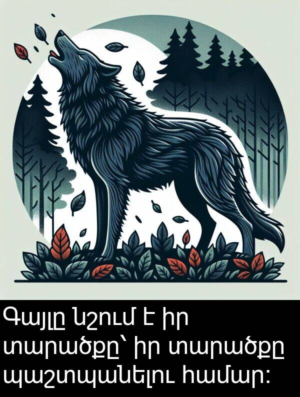 պաշտպանելու: Գայլը նշում է իր տարածքը՝ իր տարածքը պաշտպանելու համար։