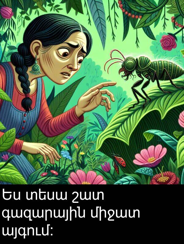 տեսա: Ես տեսա շատ գազարային միջատ այգում: