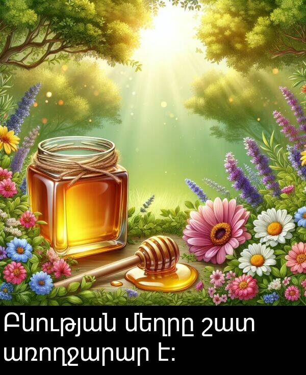 շատ: Բնության մեղրը շատ առողջարար է: