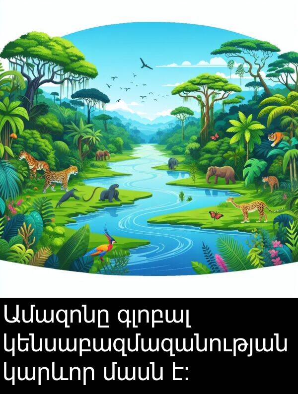 մասն: Ամազոնը գլոբալ կենսաբազմազանության կարևոր մասն է։