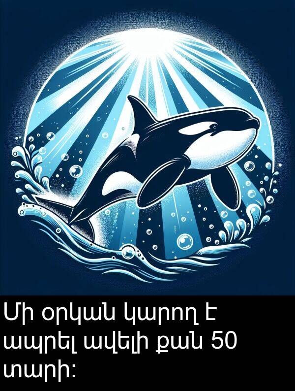 քան: Մի օրկան կարող է ապրել ավելի քան 50 տարի։