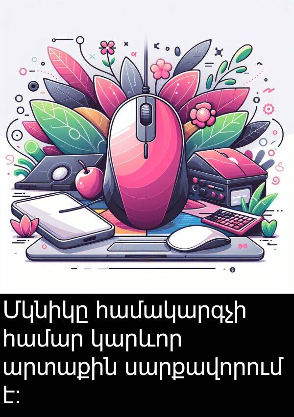 համակարգչի: Մկնիկը համակարգչի համար կարևոր արտաքին սարքավորում է։