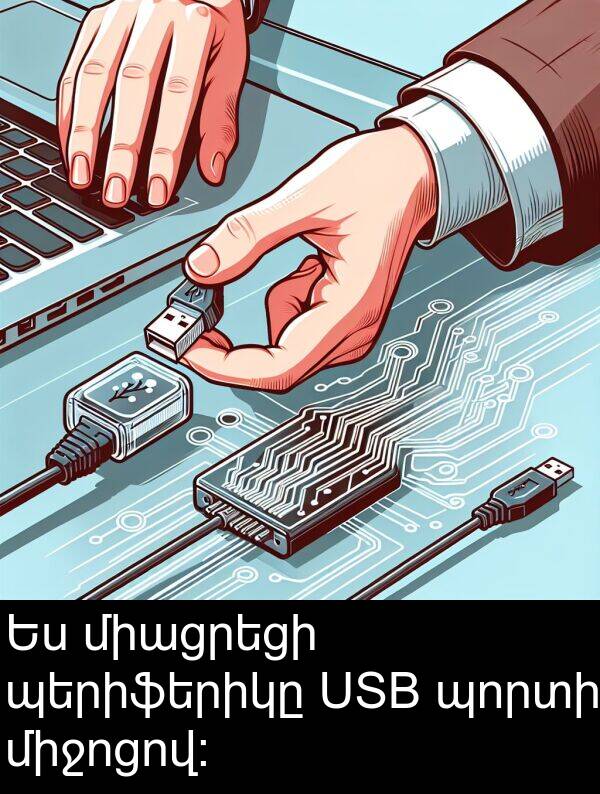 պորտի: Ես միացրեցի պերիֆերիկը USB պորտի միջոցով։
