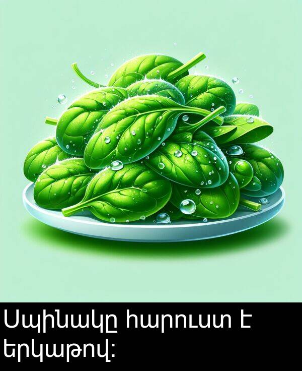 երկաթով: Սպինակը հարուստ է երկաթով: