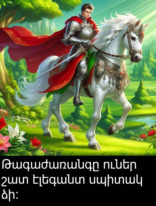 սպիտակ: Թագաժառանգը ուներ շատ էլեգանտ սպիտակ ձի: