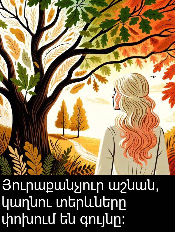 գույնը։: Յուրաքանչյուր աշնան, կաղնու տերևները փոխում են գույնը։