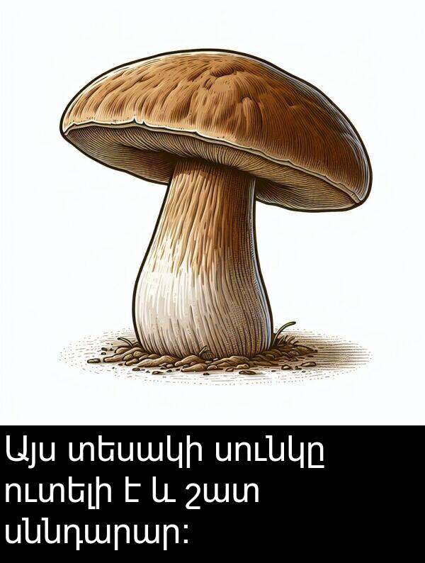 տեսակի: Այս տեսակի սունկը ուտելի է և շատ սննդարար։