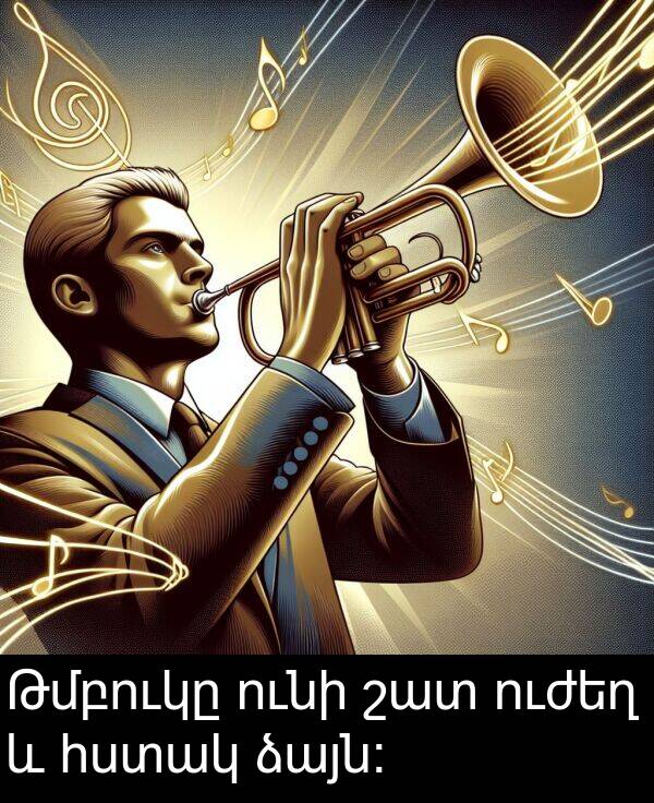 ունի: Թմբուկը ունի շատ ուժեղ և հստակ ձայն: