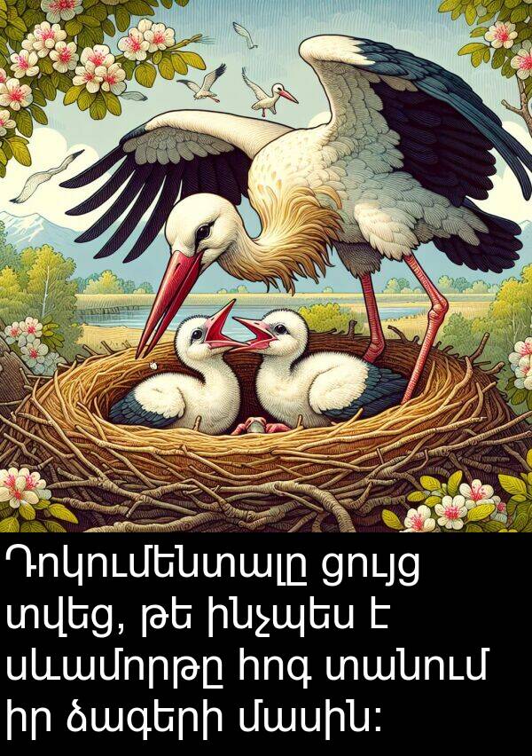 հոգ: Դոկումենտալը ցույց տվեց, թե ինչպես է սևամորթը հոգ տանում իր ձագերի մասին: