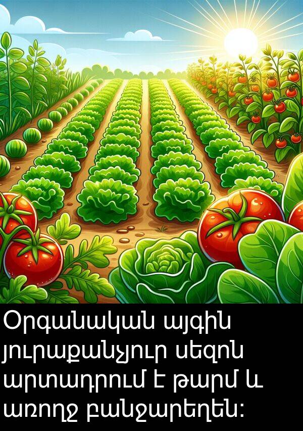 յուրաքանչյուր: Օրգանական այգին յուրաքանչյուր սեզոն արտադրում է թարմ և առողջ բանջարեղեն: