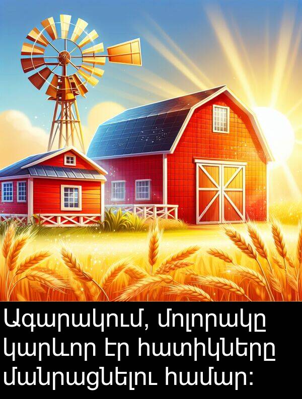 մանրացնելու: Ագարակում, մոլորակը կարևոր էր հատիկները մանրացնելու համար։