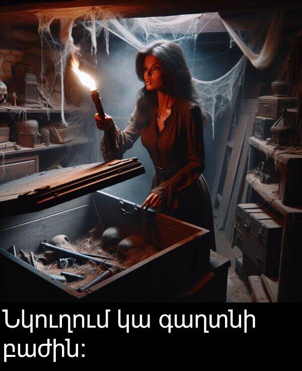 բաժին։: Նկուղում կա գաղտնի բաժին։