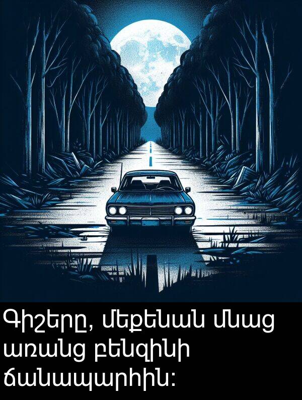 բենզինի: Գիշերը, մեքենան մնաց առանց բենզինի ճանապարհին: