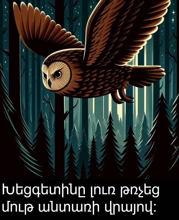թռչեց: Խեցգետինը լուռ թռչեց մութ անտառի վրայով։