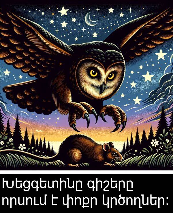 փոքր: Խեցգետինը գիշերը որսում է փոքր կրծողներ: