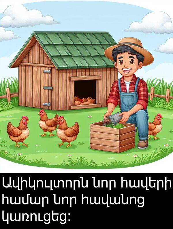 կառուցեց: Ավիկուլտորն նոր հավերի համար նոր հավանոց կառուցեց: