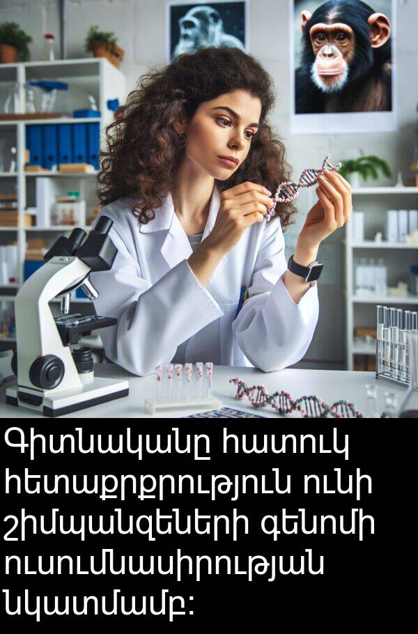 հատուկ: Գիտնականը հատուկ հետաքրքրություն ունի շիմպանզեների գենոմի ուսումնասիրության նկատմամբ։