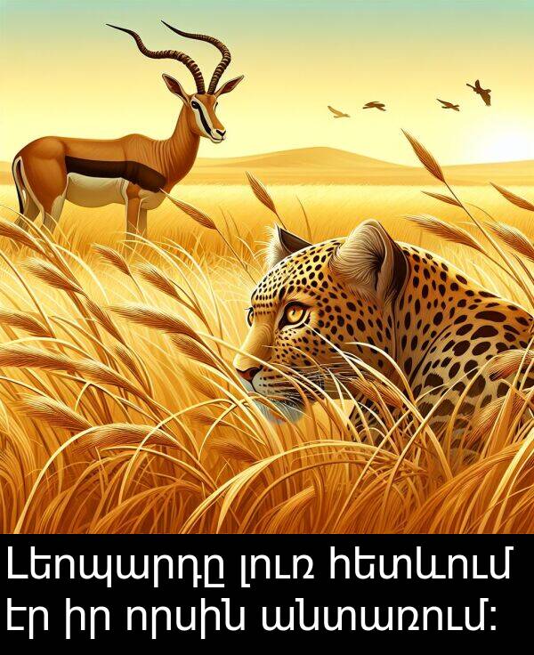 որսին: Լեոպարդը լուռ հետևում էր իր որսին անտառում։