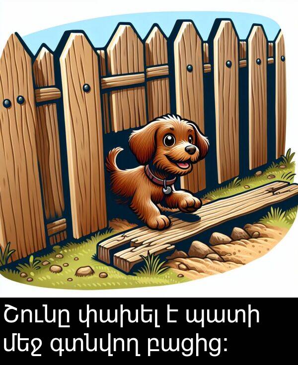 բացից: Շունը փախել է պատի մեջ գտնվող բացից: