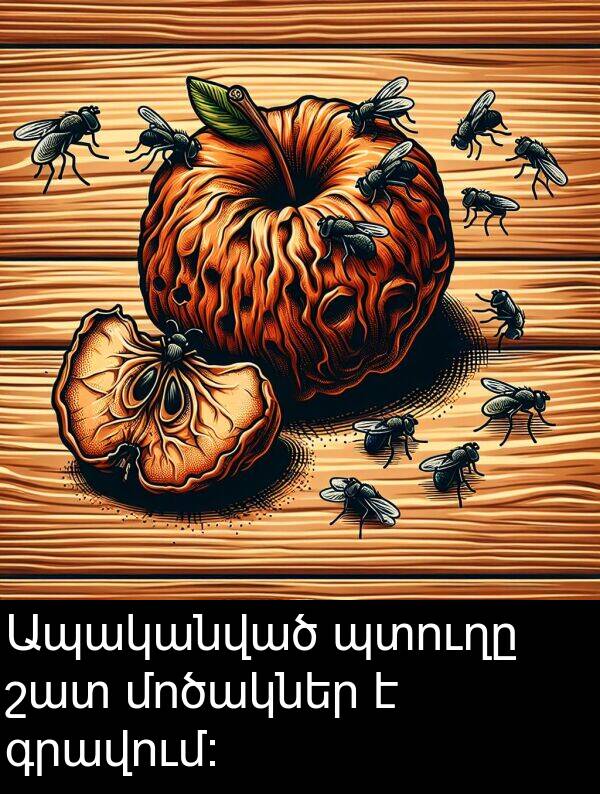 գրավում։: Ապականված պտուղը շատ մոծակներ է գրավում։