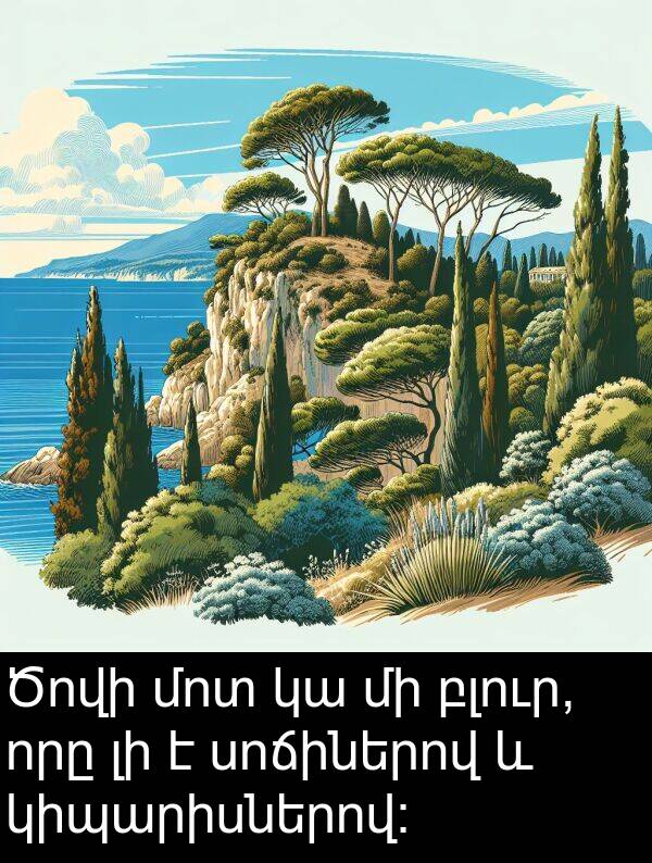 բլուր: Ծովի մոտ կա մի բլուր, որը լի է սոճիներով և կիպարիսներով։