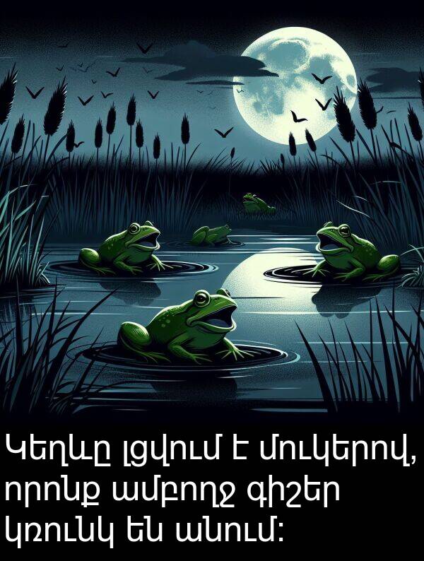 որոնք: Կեղևը լցվում է մուկերով, որոնք ամբողջ գիշեր կռունկ են անում: