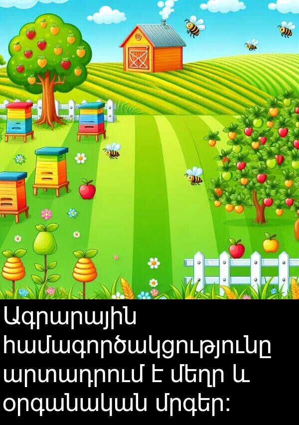 համագործակցությունը: Ագրարային համագործակցությունը արտադրում է մեղր և օրգանական մրգեր։