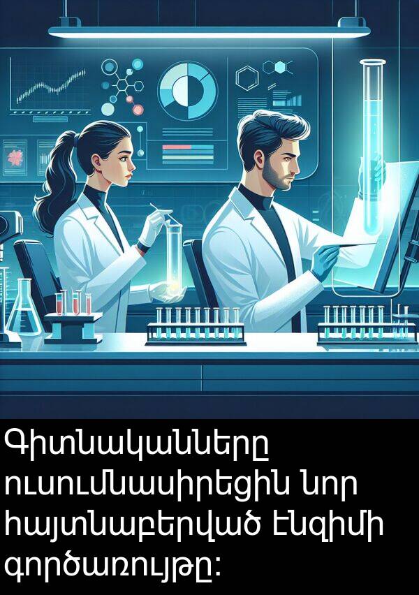 գործառույթը: Գիտնականները ուսումնասիրեցին նոր հայտնաբերված էնզիմի գործառույթը: