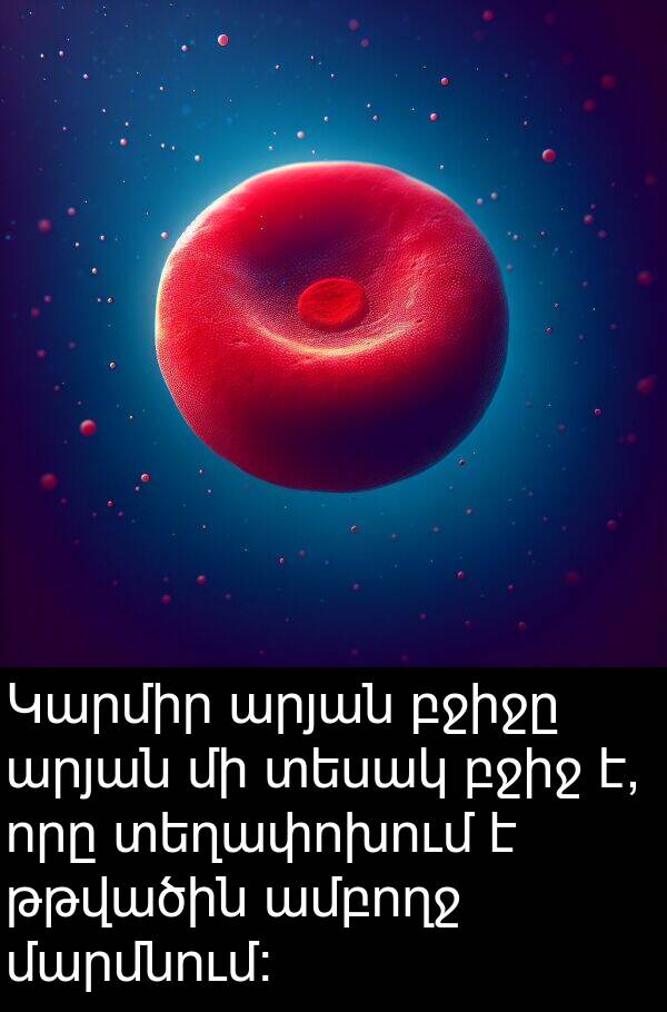 բջիջ: Կարմիր արյան բջիջը արյան մի տեսակ բջիջ է, որը տեղափոխում է թթվածին ամբողջ մարմնում: