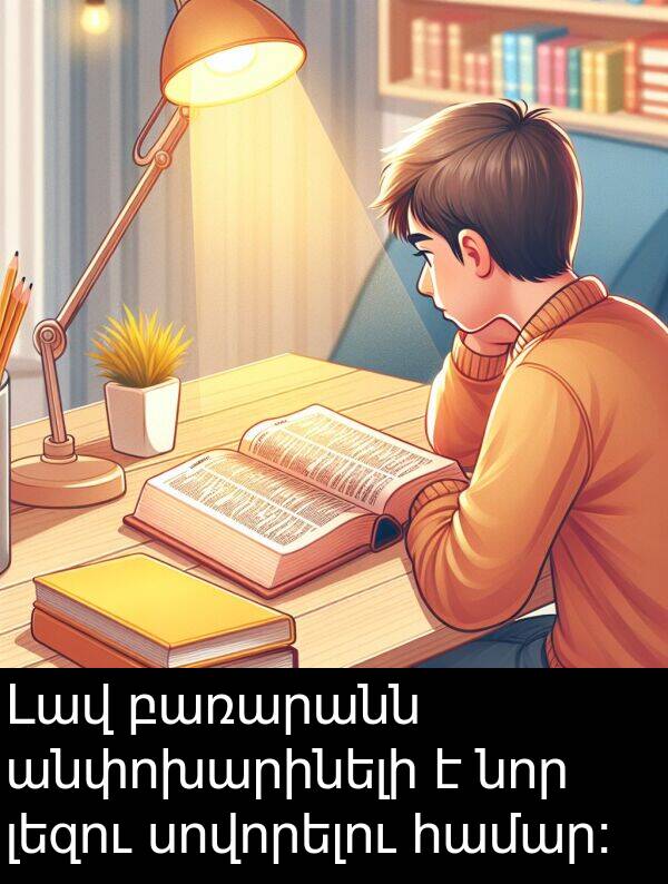լեզու: Լավ բառարանն անփոխարինելի է նոր լեզու սովորելու համար։