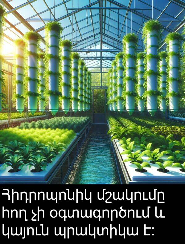 օգտագործում: Հիդրոպոնիկ մշակումը հող չի օգտագործում և կայուն պրակտիկա է։