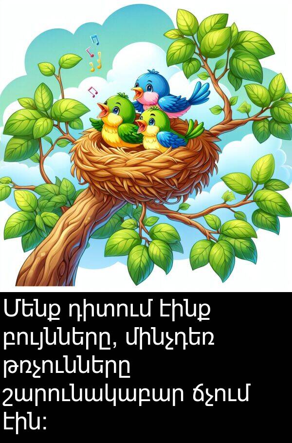 էինք: Մենք դիտում էինք բույնները, մինչդեռ թռչունները շարունակաբար ճչում էին։