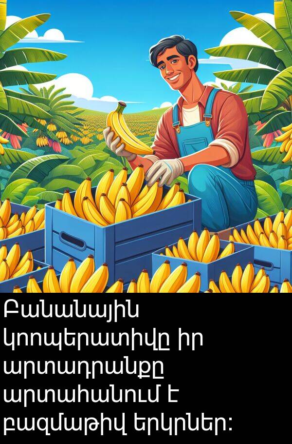 արտահանում: Բանանային կոոպերատիվը իր արտադրանքը արտահանում է բազմաթիվ երկրներ: