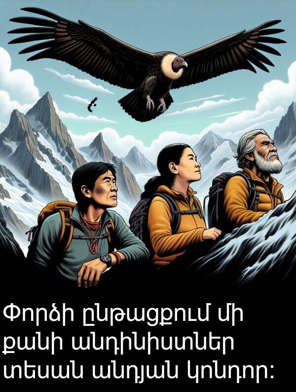 կոնդոր: Փորձի ընթացքում մի քանի անդինիստներ տեսան անդյան կոնդոր:
