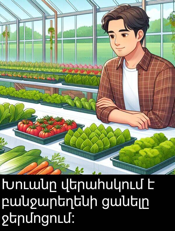 բանջարեղենի: Խուանը վերահսկում է բանջարեղենի ցանելը ջերմոցում։