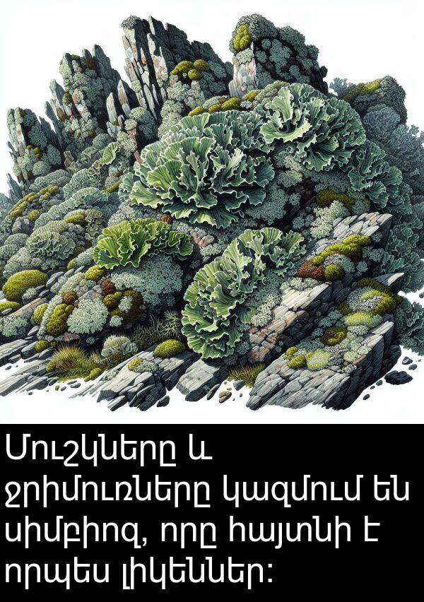 որպես: Մուշկները և ջրիմուռները կազմում են սիմբիոզ, որը հայտնի է որպես լիկեններ։