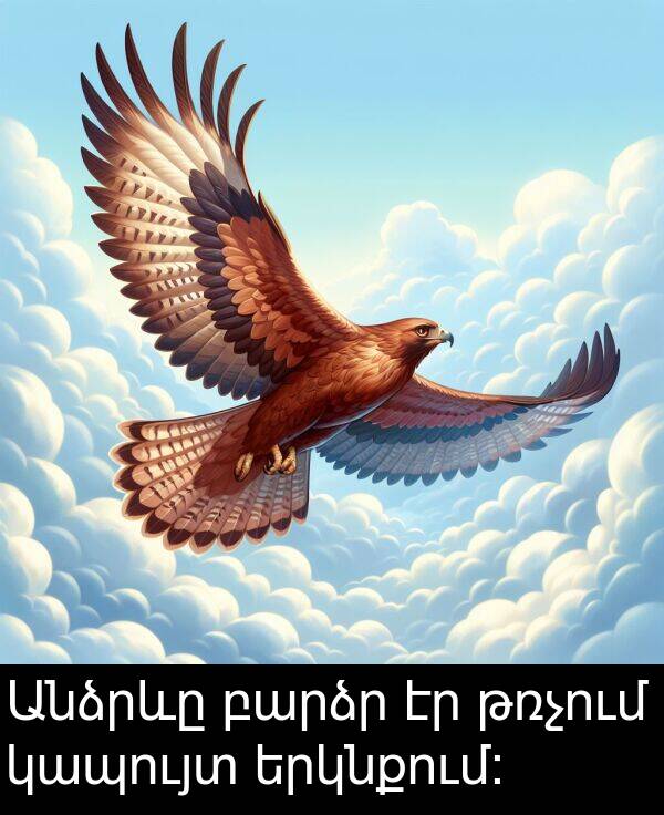 թռչում: Անձրևը բարձր էր թռչում կապույտ երկնքում։