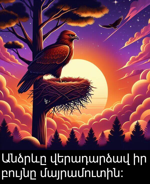 բույնը: Անձրևը վերադարձավ իր բույնը մայրամուտին:
