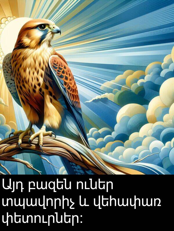փետուրներ։: Այդ բազեն ուներ տպավորիչ և վեհափառ փետուրներ։