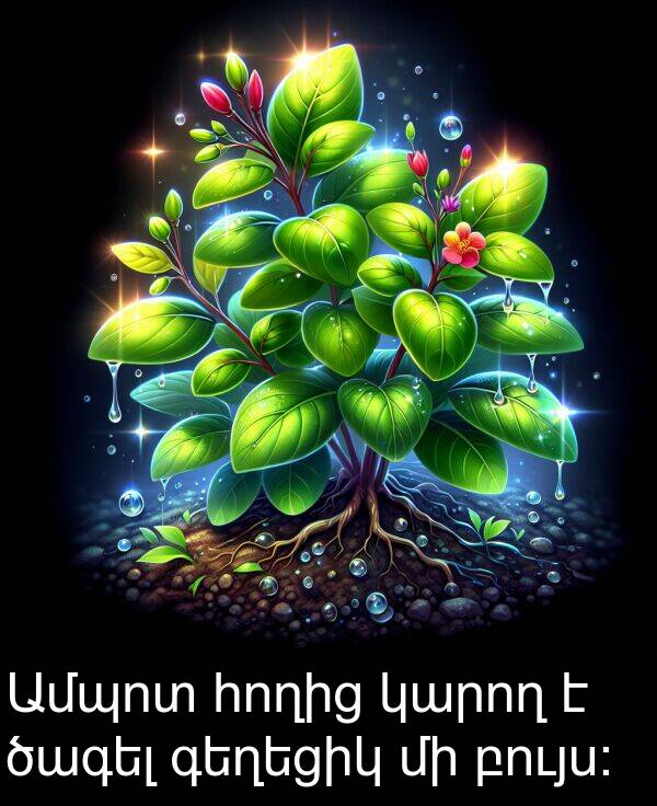 հողից: Ամպոտ հողից կարող է ծագել գեղեցիկ մի բույս: