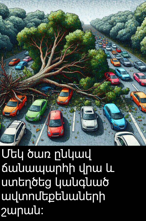 ծառ: Մեկ ծառ ընկավ ճանապարհի վրա և ստեղծեց կանգնած ավտոմեքենաների շարան։
