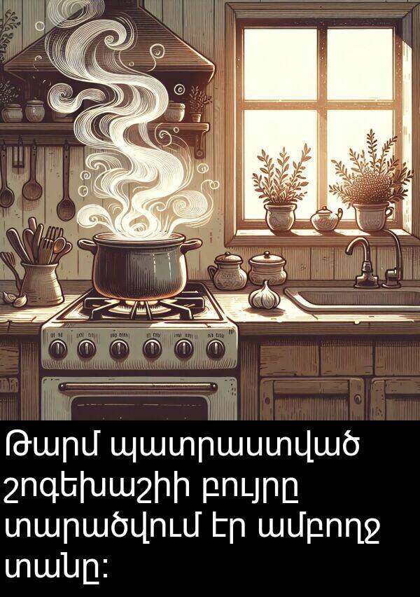 բույրը: Թարմ պատրաստված շոգեխաշիի բույրը տարածվում էր ամբողջ տանը։
