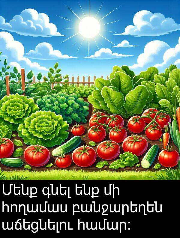 գնել: Մենք գնել ենք մի հողամաս բանջարեղեն աճեցնելու համար: