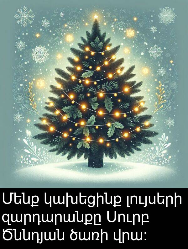 լույսերի: Մենք կախեցինք լույսերի զարդարանքը Սուրբ Ծննդյան ծառի վրա։