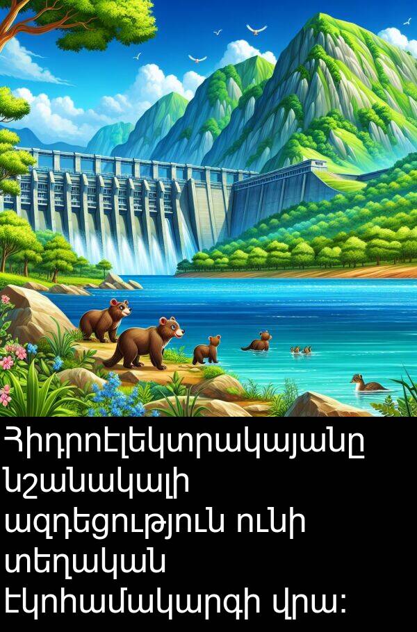 ազդեցություն: Հիդրոէլեկտրակայանը նշանակալի ազդեցություն ունի տեղական էկոհամակարգի վրա: