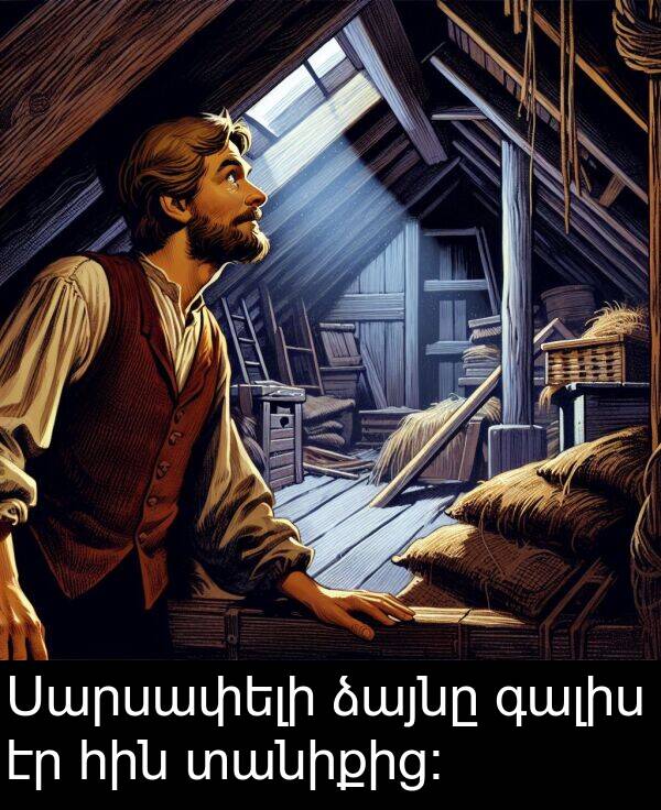 գալիս: Սարսափելի ձայնը գալիս էր հին տանիքից։