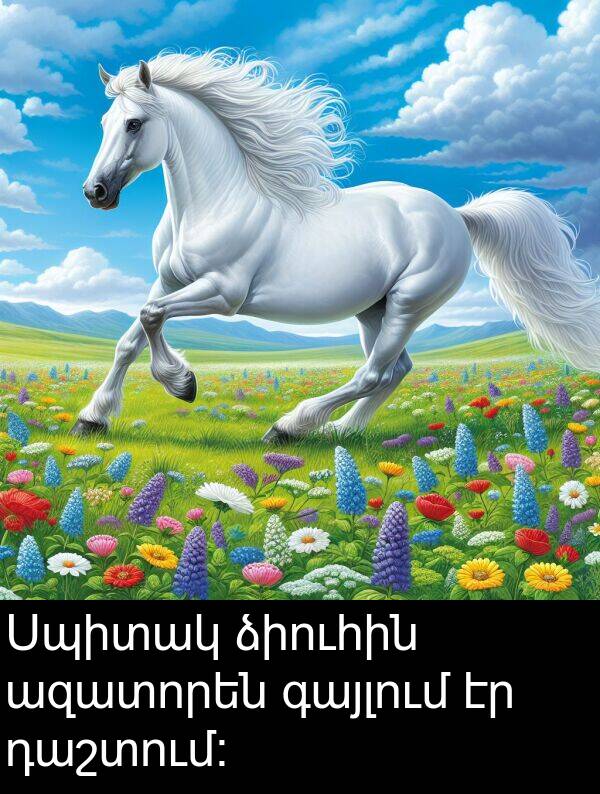 ձիուհին: Սպիտակ ձիուհին ազատորեն գայլում էր դաշտում։
