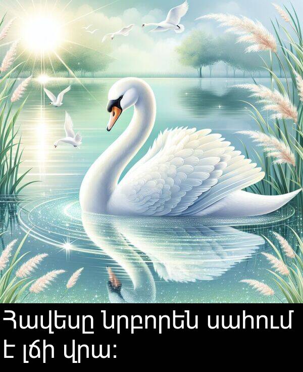 լճի: Հավեսը նրբորեն սահում է լճի վրա։