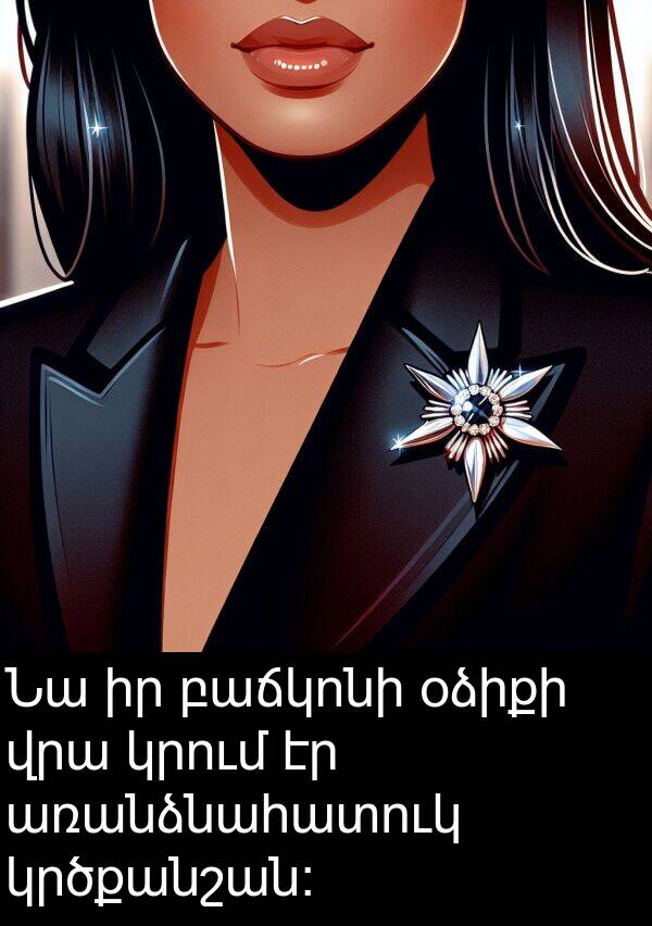 բաճկոնի: Նա իր բաճկոնի օձիքի վրա կրում էր առանձնահատուկ կրծքանշան։