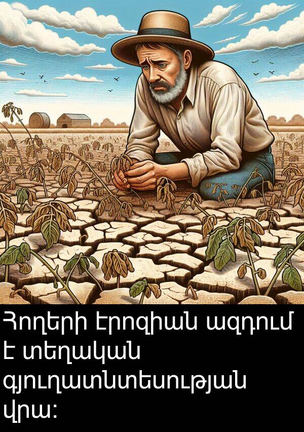 ազդում: Հողերի էրոզիան ազդում է տեղական գյուղատնտեսության վրա։